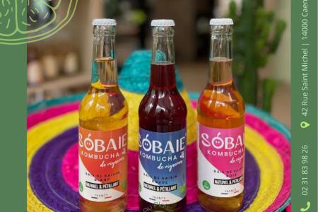 Dégustation kombucha SOBAIE